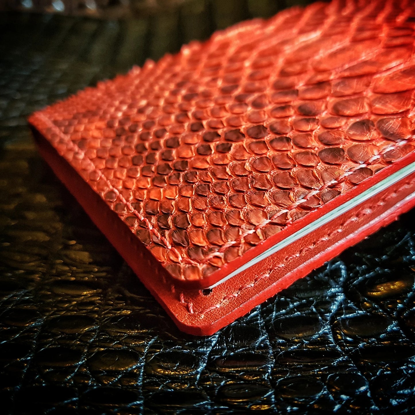 Jetsetter Passport Jacket